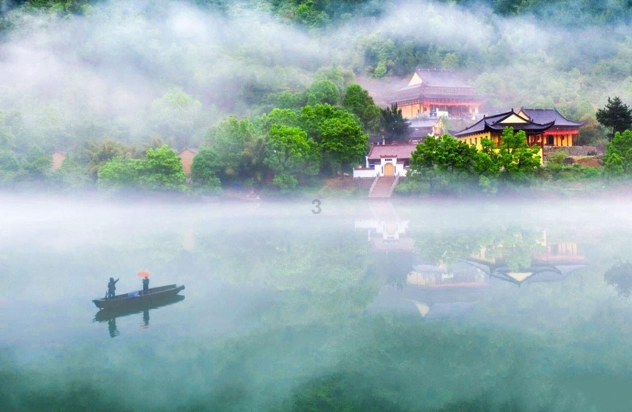 春雨直播app