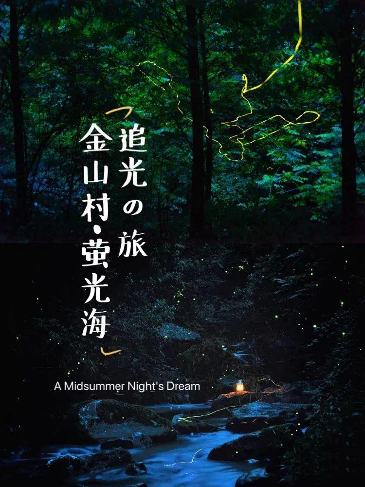 单身狗大作战