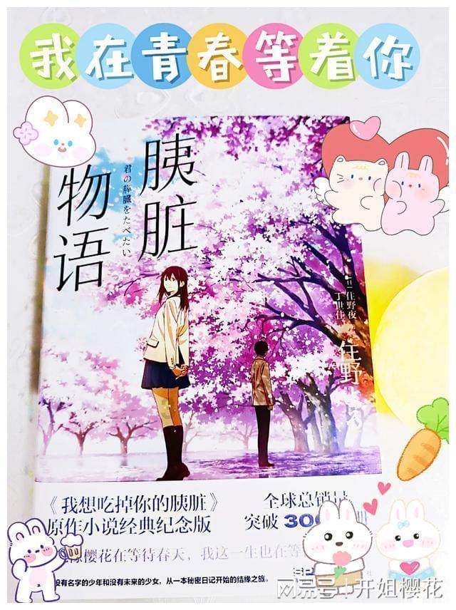 小猫钓鱼开船版最新版下载