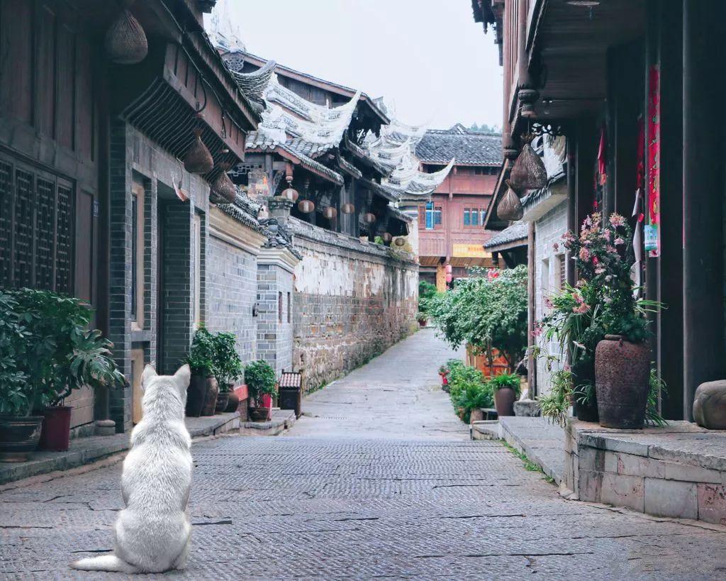 产业园最好的设计院